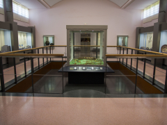Museo del castro de Viladonga